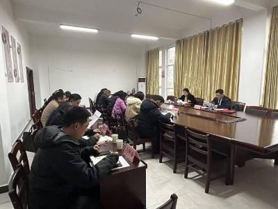 通城县召开“清洁家园”百日攻坚专班第三次会议