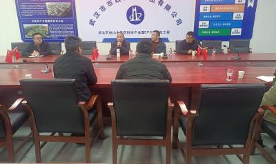 通城县大坪乡：开局即冲刺服务暖企行