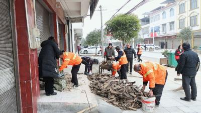【清洁家园在行动】通城县关刀镇开展“清洁家园”百日攻坚新一轮集中整治行动