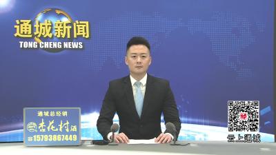 视频-【新春走基层】通城：苗木市场人气旺 花卉果木购销忙