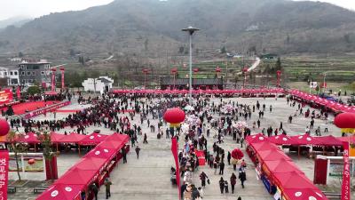 视频-情定塘湖 “职”达家园丨通城“红色塘湖·新风贺春”赶集活动别样精彩