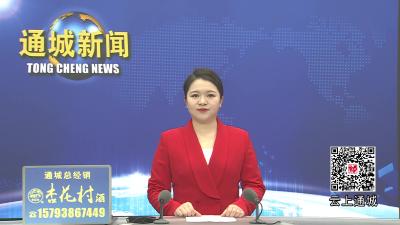 视频-【重点交通项目献礼新春③】大道通衢迎新春 353国道通城段改建（一期）冲刺新春节点