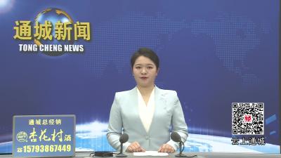 视频-黄建平指导大坪乡党委班子2025年度民主生活会 