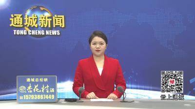 视频-黄建平调研重点企业复工复产工作 