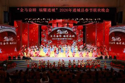 金马奋蹄 福耀通城 2026年通城县春节联欢晚会精彩举行 
