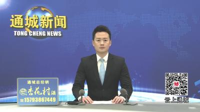 视频-通城县政府2026年第3次党组会暨树立和践行正确政绩观学习教育读书班举行 