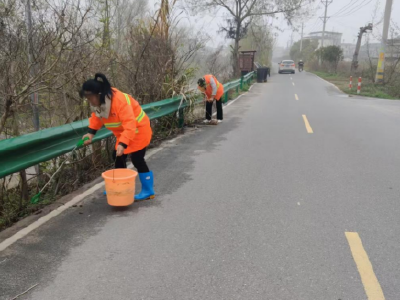 【清洁家园在行动】通城县大坪乡来苏村：组织引领齐参与 人居环境大提升