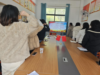 通城县塘湖镇润田小学开展师德师风政策学习、宣誓暨专题培训活动