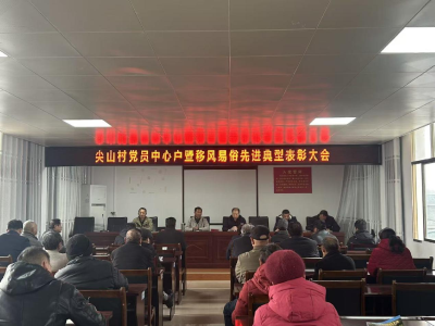 通城县五里镇尖山村：表扬先进树标杆 党建引领促治理