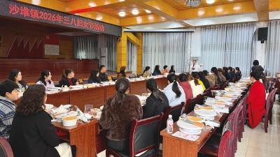 通城县沙堆镇妇联举办“庆三八·享甜蜜”妇女节活动