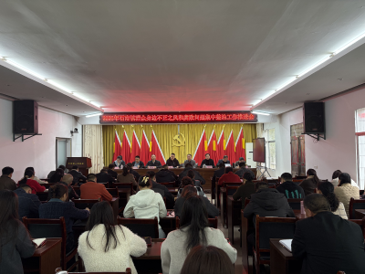 通城县石南镇召开群众身边不正之风和腐败问题集中整治工作推进会