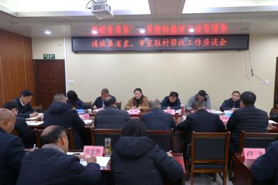 通城县召开省直、市直驻村帮扶工作座谈会