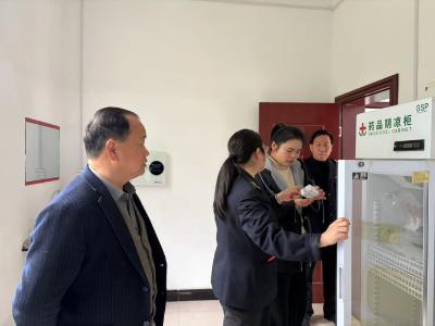 通城县石南镇政府联合镇卫生院开展村（社区）卫生室专项检查