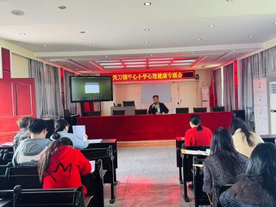 通城县关刀镇中心小学：筑牢心灵防线 护航健康成长