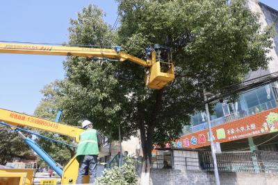 通城县城管执法局：清除遮挡树枝 擦亮城市“天眼”