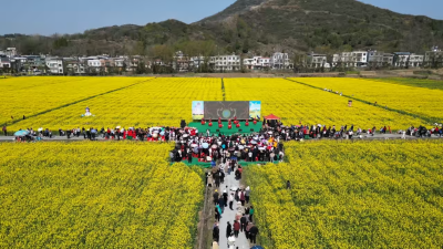 【2026，我们这么干⑧】通城县塘湖镇党委书记杨友平：深耕农文旅“特色牌” 融入全县“一盘棋”  