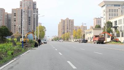 视频-通城县城市管理执法局：重拳整治“菜园乱象” 温情执法重塑城市颜值 