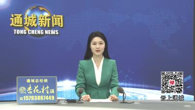 视频-【落实全县三级干部大会精神】通城县麦市镇：锚定目标勇争先 实干笃行促跨越