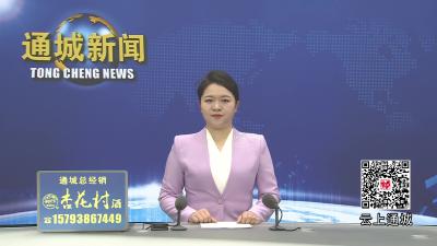 视频-通城县举行2026年“3·5”学雷锋纪念日主题暨创文志愿服务活动 