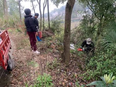 干群携手齐上阵 绘就和美乡村新画卷 | 通城县石南镇组织开展“清洁家园”志愿服务活动