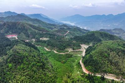 通城高峰村：吴兵造林护水绿染大金山