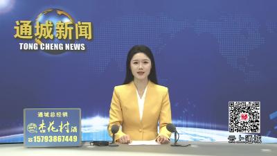 视频-通城县召开精神卫生医疗机构和医保基金管理突出问题专项整治工作部署会