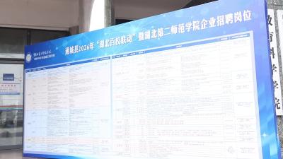 视频-通城县2026年校地协作专项招聘会走进湖北第二师范学院