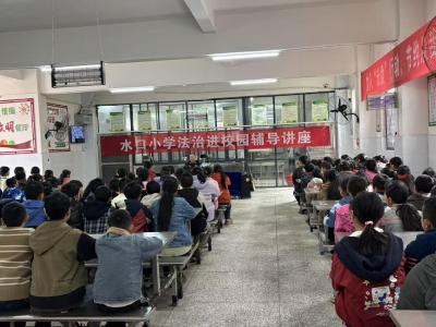 通城县大坪乡水口小学开展法治进校园辅导讲座