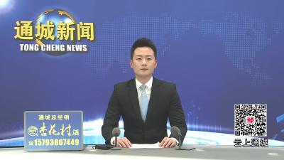 视频-通城县塘湖镇2026年“鄂湘赣”文旅助农惠农赏花季系列活动开幕 