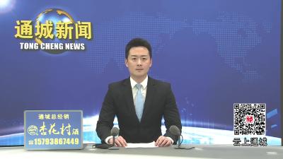 视频-唐雷调研全县优化营商环境和政务服务工作