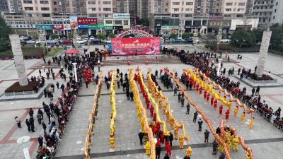 【我们的节日· 元宵】通城：欢天喜地贺新年 舞龙舞狮闹元宵