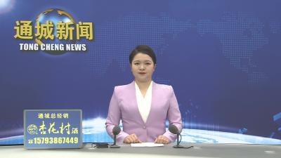 视频-黄建平主持召开县委常委会2026年第6次会议 