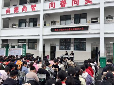 通城县大坪乡来苏小学开展法治宣讲大会