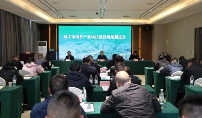 咸宁市油茶产业项目建设现场推进会在通城召开