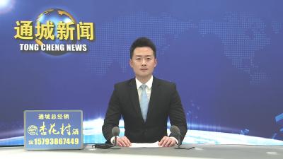 视频-黄建平主持召开县委常委会2026年第7次会议 