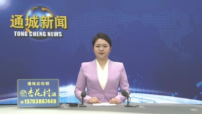 视频-【2026年，我们这么干④】通城县麦市镇党委副书记、镇长胡威：实干担当 全力打造鄂湘赣毗邻地区商贸特色镇 