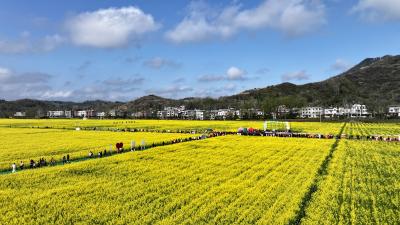 通城塘湖：“花开助农”释放“文旅经济”新活力