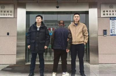 快侦快破！通城警方抓获系列车内财物盗窃嫌疑人