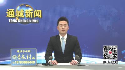 视频-通城县卧龙沟生态有机茶业专业合作社：春染茶山千行翠 一片绿叶富乡邻 