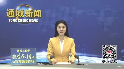 视频-通城县红十字会第一届理事会第四次会议召开
