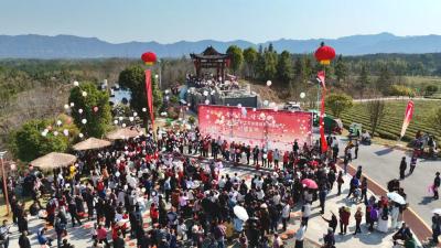 会聚良缘・情定桂乡 2026年咸宁市职工交友联谊系列活动通城专场开幕