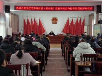 通城县马港镇举办镇村干部能力提升培训班