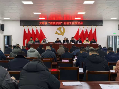 【清洁家园在行动】通城县大坪乡召开“清洁家园”行动工作推进会