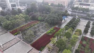 视频-通城：春分花正开 赏景恰当时