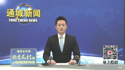 视频-市人大常委会到通城县调研特色淡水产品产业和竹产业及代表行动动员部署工作
