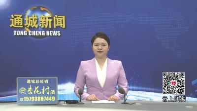 视频-通城县举行2026年上半年新兵入伍出征仪式暨纪念长征胜利90周年全民国防教育活动 