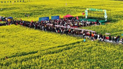 湖北通城：花开助农“香约”塘湖