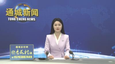 视频-【2026，我们这么干⑨】通城县石南镇党委副书记、镇长段志刚：以实干破局 奋力建设特色“百亿乡镇”