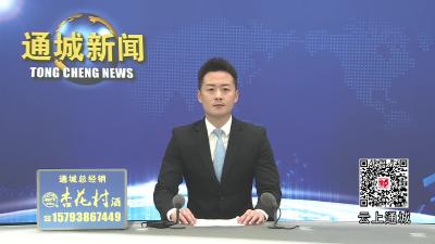 视频-数据资产ABS联合服务团队来通城考察座谈 共探数据要素市场化改革 
