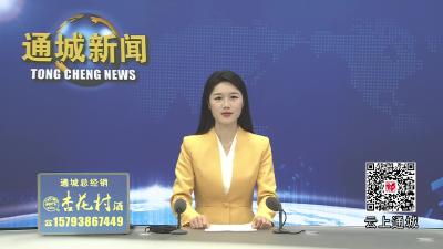 视频-通城县教育系统召开2025年度党组织书记抓基层党建工作述职评议及2026年度群众身边不正之风和腐败问题整治工作调度会议